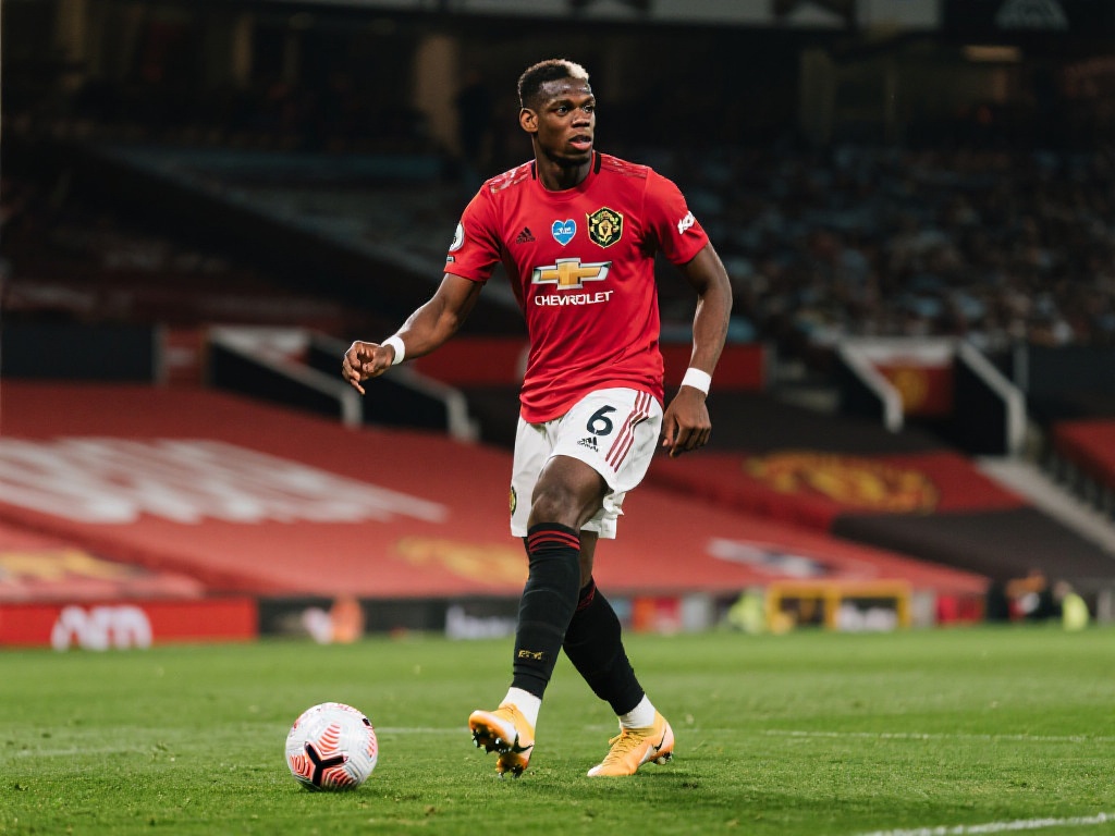 摩洛哥以新 摩洛哥以新